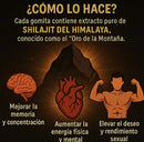 GOMAS SHILAJIT x 60 C/U | ¡Recupera Tu Deseo, Tu Energía y Tu Confianza!